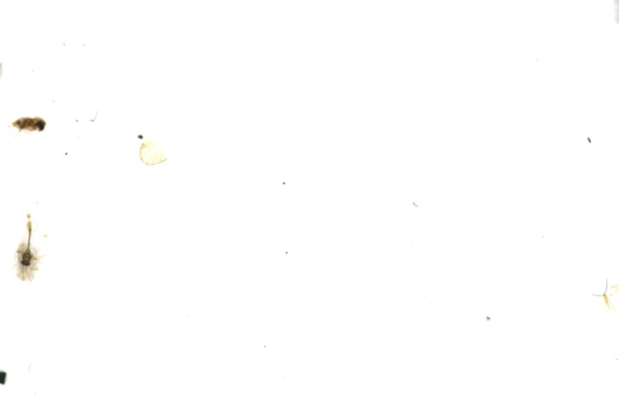Image 74